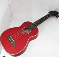 【 美品 】 kamoa E bass ウクレレベース 全長74cm ソフトケース付き